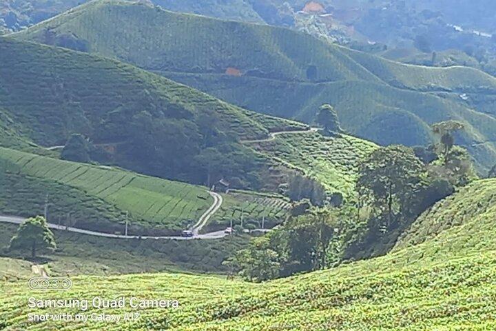 Private Tagestour durch Cameron Highlands ab Ipoh, Paket B