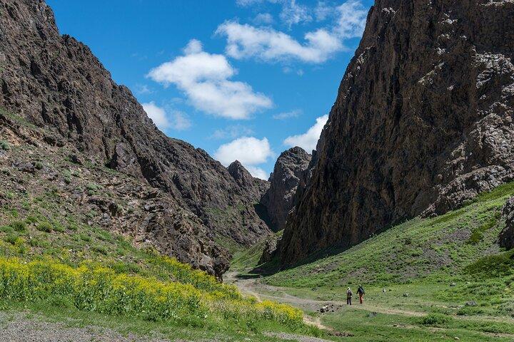 Treasures of Mongolia