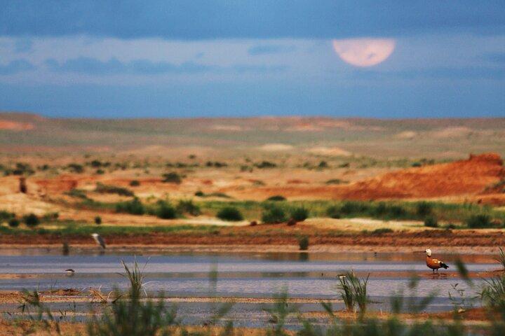 Treasures of Mongolia