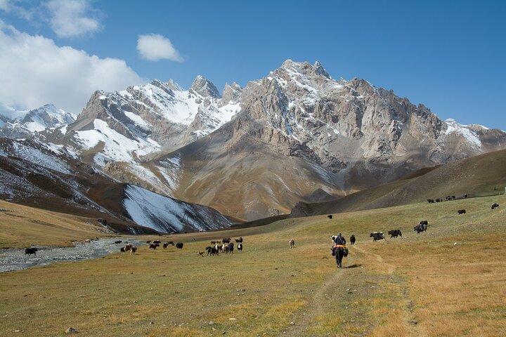 Escursione a cavallo al lago Kel Suu