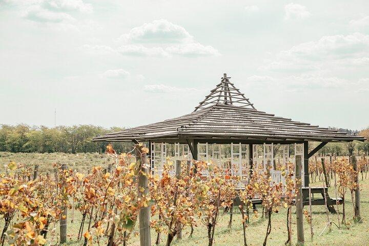 Buenos Aires Experience Winery Gamboa Tasting and Lunch.