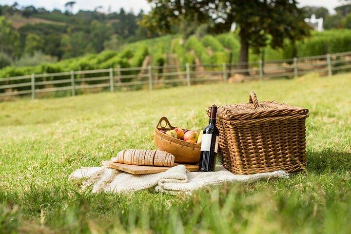 Excursion d'une demi-journée à San Gimignano avec déjeuner pique-nique et vin du Chianti