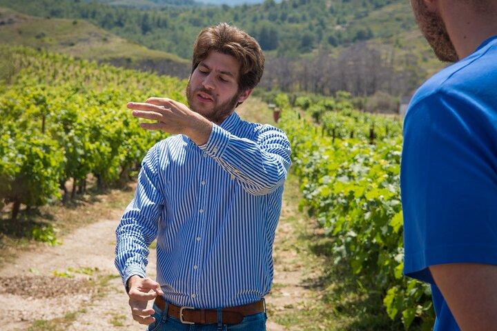Rhodes Wine & Food Tour: 10 Meal Course Lunch, Wine Tasting, Cooking Class