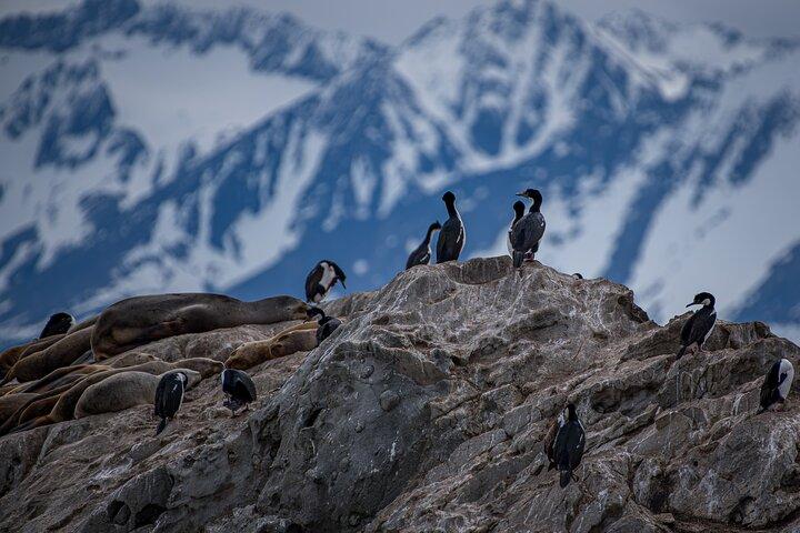 Navigation Beagle Channel till fyren