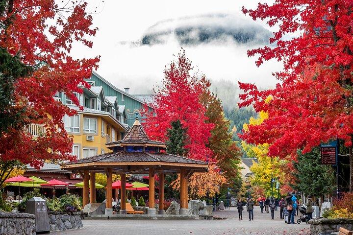 Caribou - Entdecken Sie das Beste der Rockies (8-Tage)