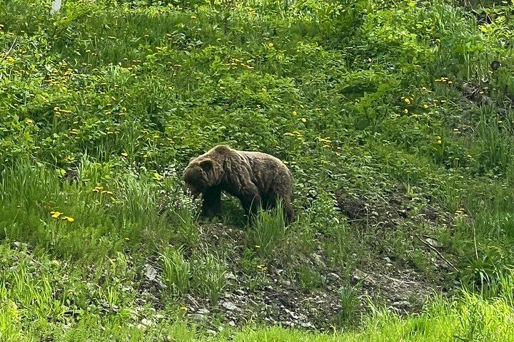Sommertal und Waldwanderung