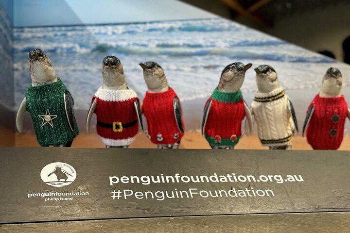 Melbourne: Activiteiten in de omgeving van Phillip Island Penguin Parade & Wildlife Tours