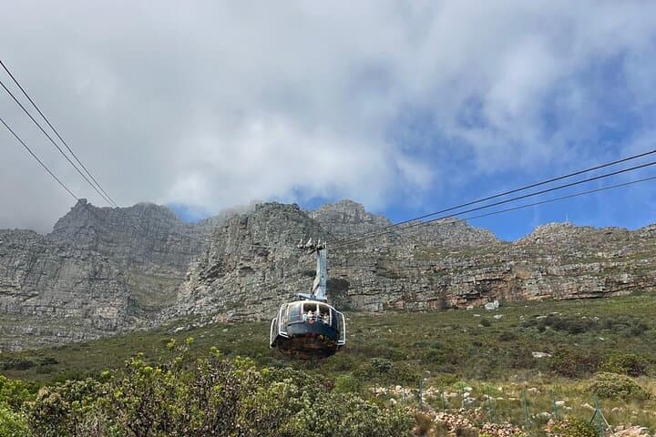 Exclusive Full Day Cape Town City Sightseeing Experience Tour
