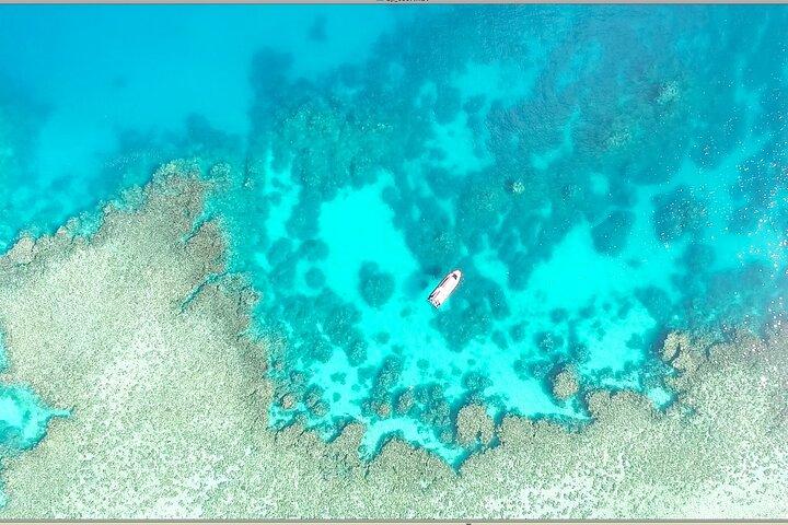 Halvdags Outer Reef snorkeltur fra Port Douglas