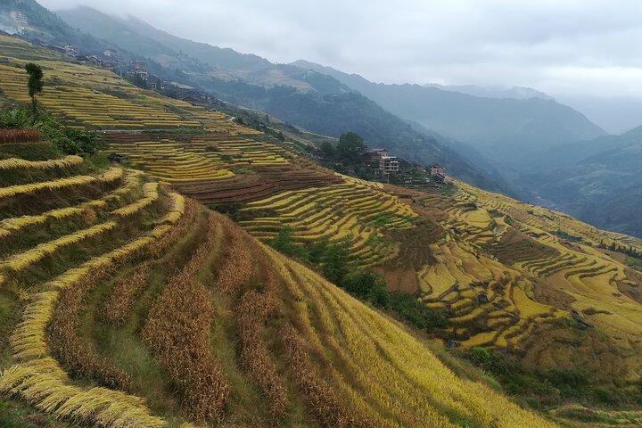 Guilin: Longji Rice Terraces Full-Day Tour with Village Walks