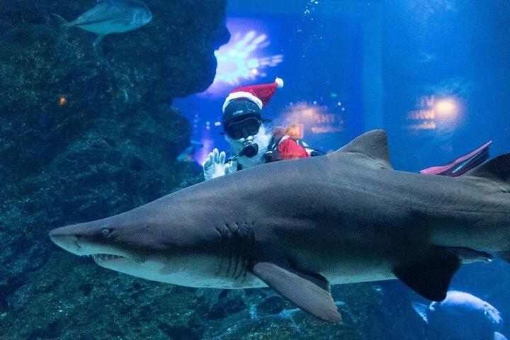 バンコクのデュオSEA LIFEとマダムタッソー館チケット
