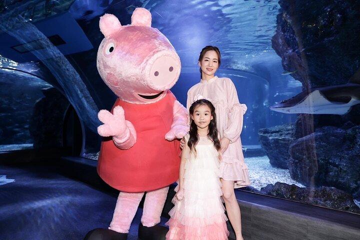 バンコクのデュオSEA LIFEとマダムタッソー館チケット