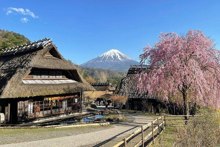 Tóquio: Excursão de um dia ao Monte Fuji