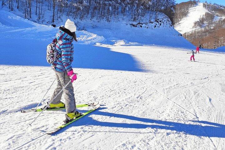 Private Uludag Ski Tours from Istanbul