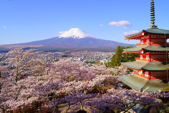 Mt. Fuji and Gotemba Outlet Private Day Trip From Tokyo