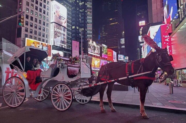 Offizielle private NYC CentralPark Pferdekutschenfahrt seit 1972
