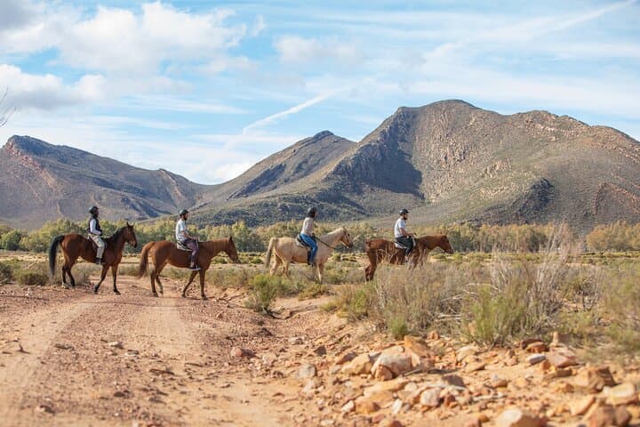 Horseback Safari and Wine Tasting Private Guided Tour
