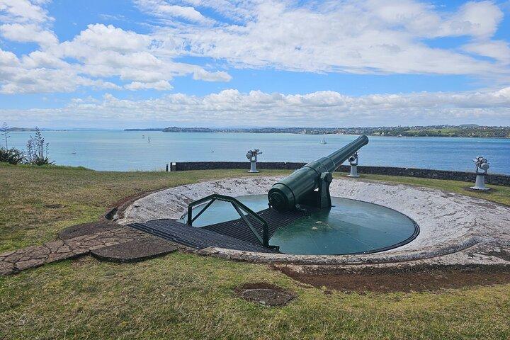 Visite guidée d'une demi-journée à Auckland City