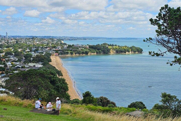 Visite guidée d'une demi-journée à Auckland City