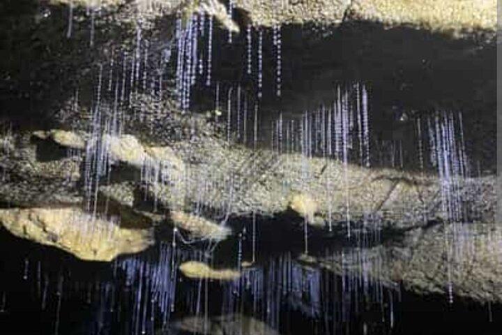 Grottes de Waitomo Glowworm et grotte de Ruakuri