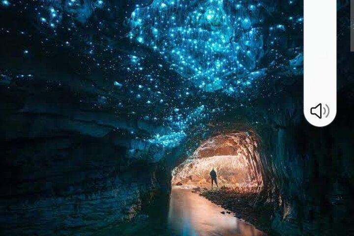 Cuevas Waitomo Glowworm y Ruakuri