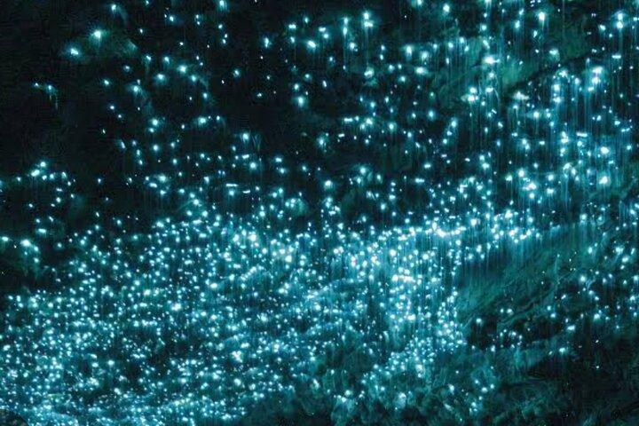 Cuevas Waitomo Glowworm y Ruakuri