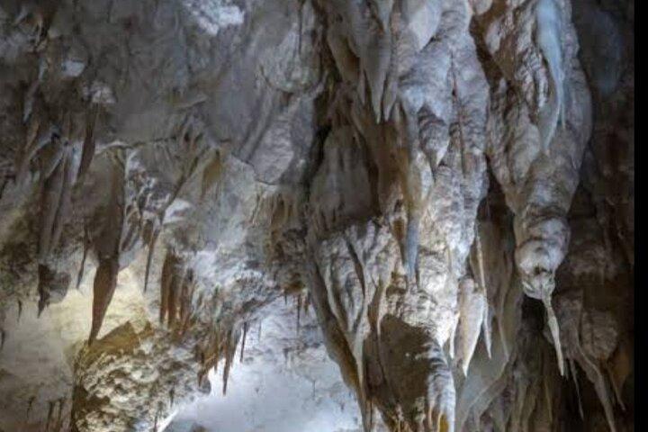 Cuevas Waitomo Glowworm y Ruakuri