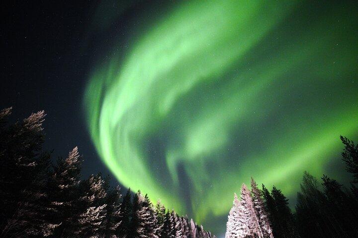 Grupo privado: Northern Lights Hunt SUV 4x4 con garantía Aurora