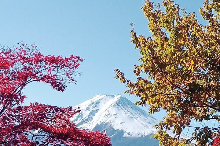 Muslim Friendly Mount Fuji Tour with English Speaking Chauffeur