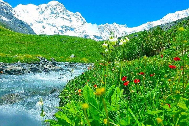 Golden Mountain Annapurna Base Camp Trek