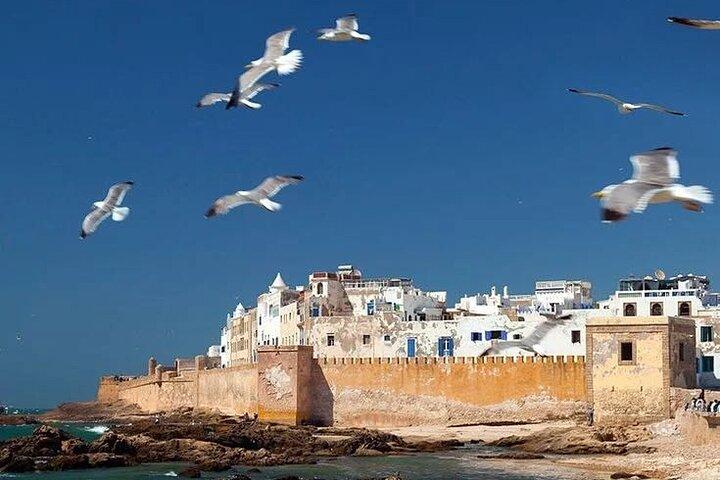 Full-Day Trip from Marrakech to the Pearl City Essaouira