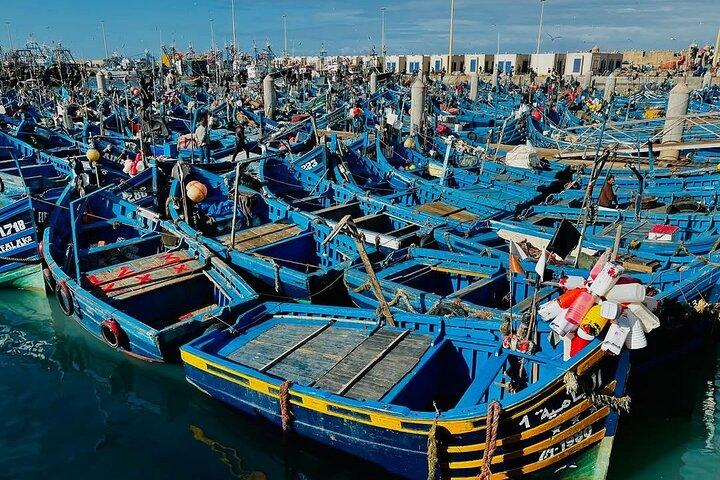 Full-Day Trip from Marrakech to the Pearl City Essaouira