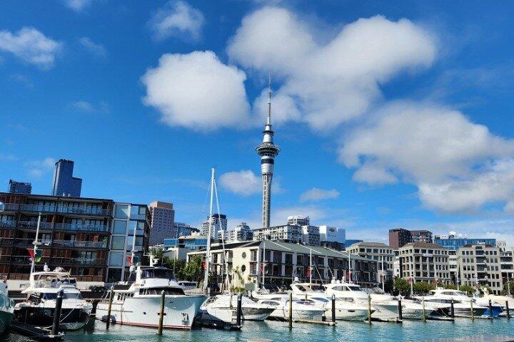 Visite guidée d'une journée à Auckland