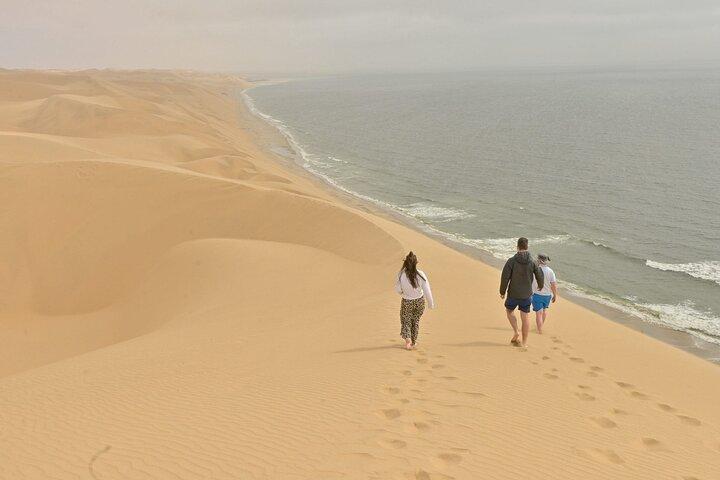 6- Jour Faune, Océans et Dunes