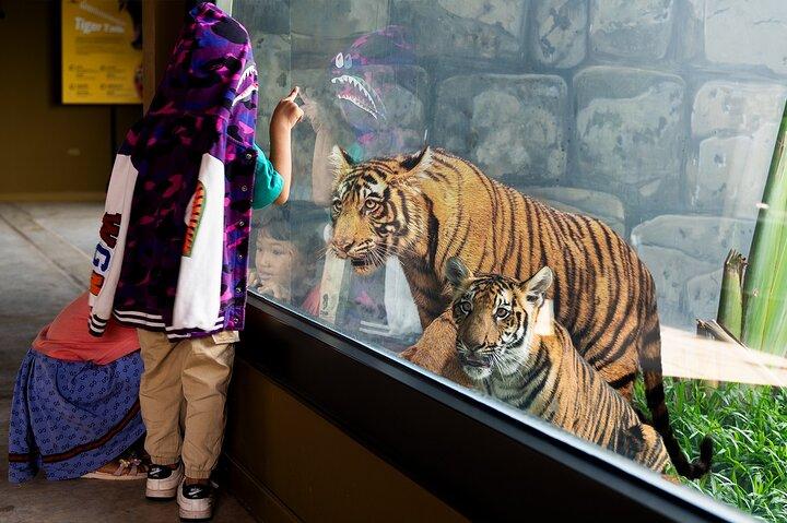 アンコール野生動物と水族館1日パス-シェムリアップ