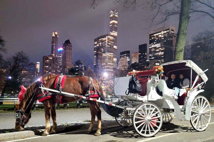 Offizielle private NYC CentralPark Pferdekutschenfahrt seit 1972