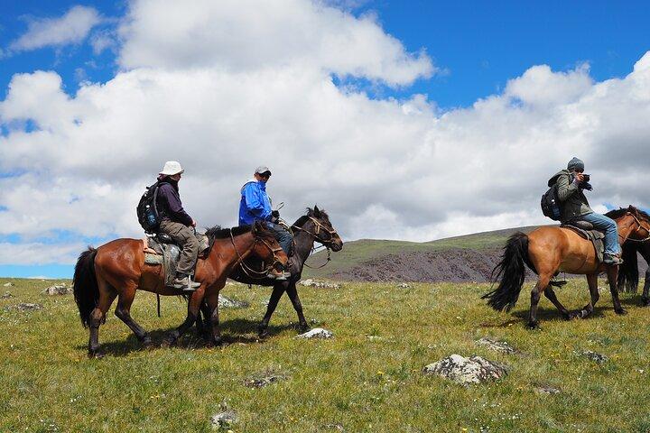 Paseos a caballo en Parque Nacional Altai Tavan Bogd