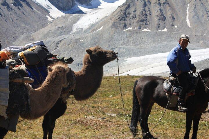 Paseos a caballo en Parque Nacional Altai Tavan Bogd