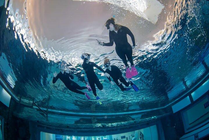 Dive into the World's Deepest Pool at heart of Dubai
