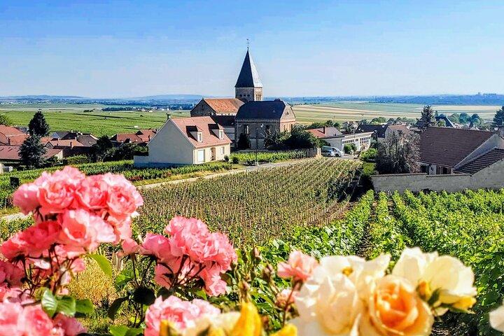 Privat heldagstur med 2 boutiquedyrker-champagnehuse