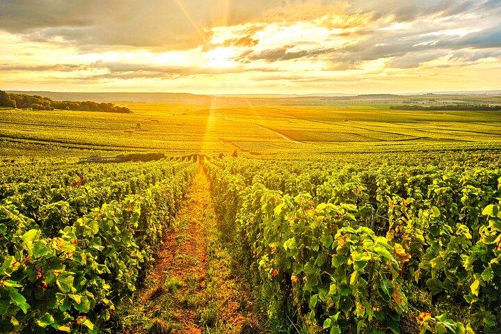 Moet et Chandon-proeverij en leuke privétour in Champagne