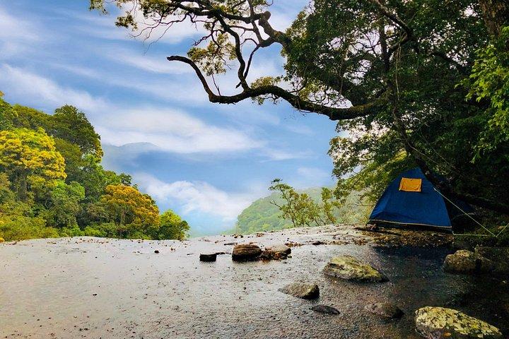 Knuckles Mountain Range: Hidden Waterfall Chain Trek