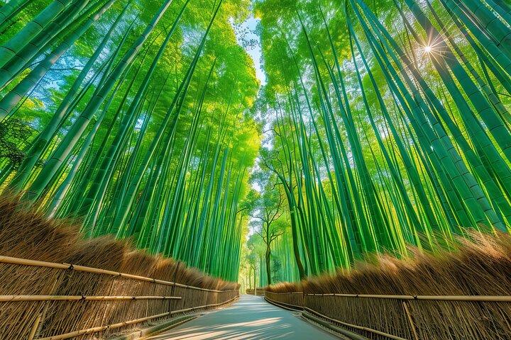 Tren romántico Arashiyama Sagano, parque Fushimi Inari Taisha y Nara
