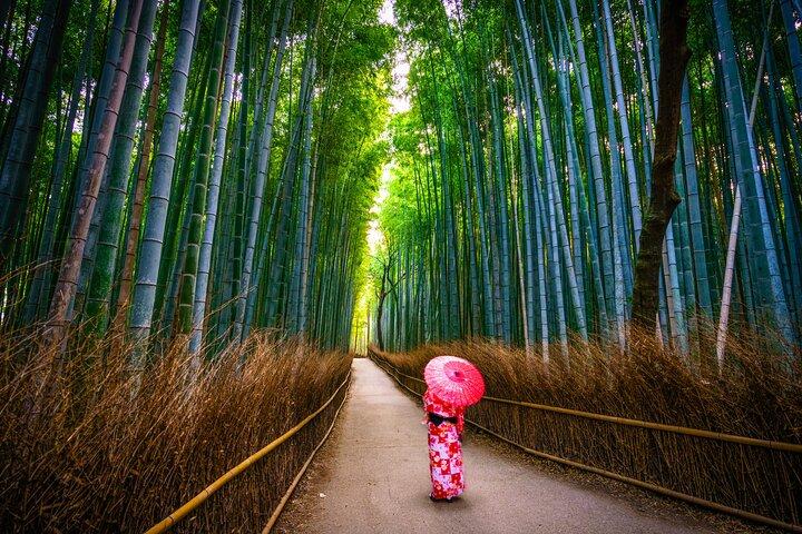 Osaka/Kyoto: gita di un giorno ad Arashiyama, Fushimi Inari e Parco Nara
