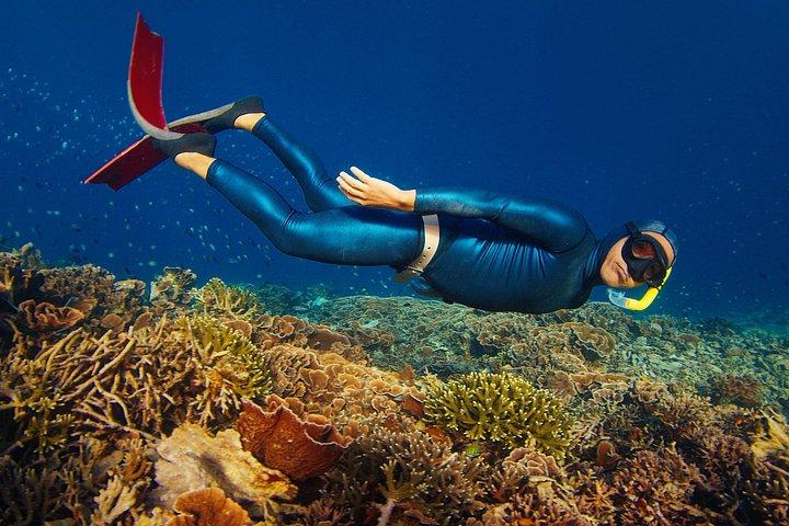 Snorkeling privato e apnea a Manta Point