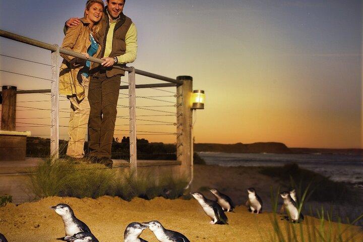 Tour ecológico por la tarde de Phillip Island & Penguin Parade desde Melbourne