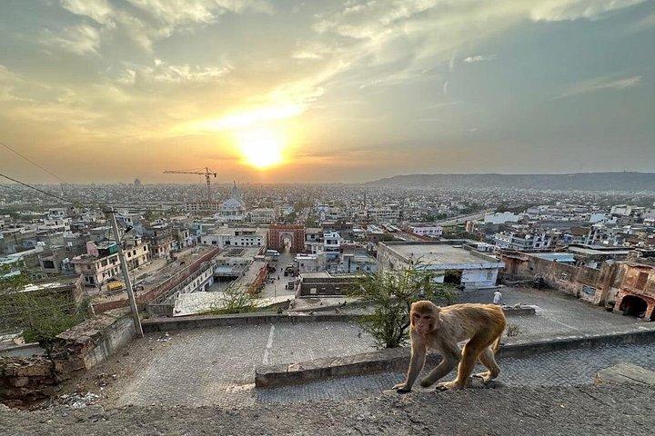 Jaipur Half Day Tour Ending at Monkey Temple with Sunset