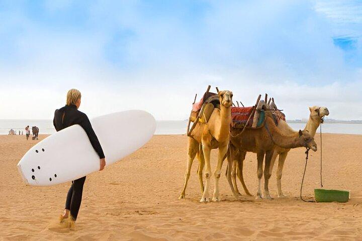Essaouira Magical Day Trip de Marrakech