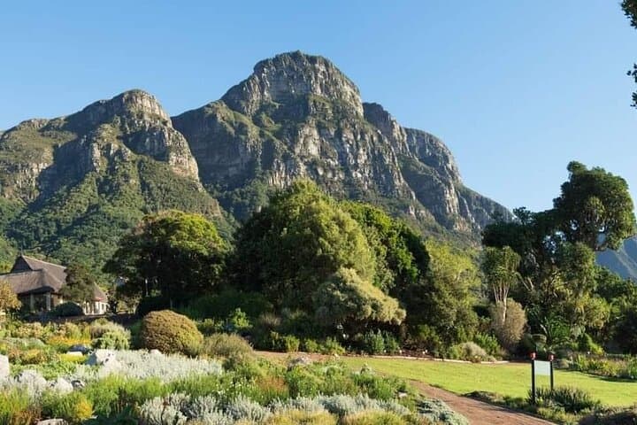 Kirstenbosch Botanical Gardens and Wine Tasting in Constantia