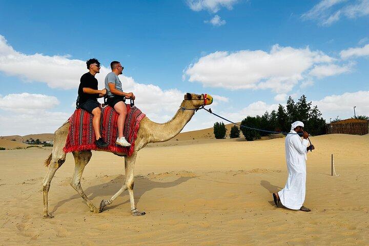 Abu Dhabi: Private Camel Trekking Experience